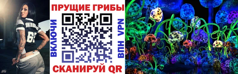 сколько стоит Щигры Псилоцибиновые грибы Psilocybine cubensis