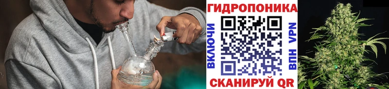 Конопля ГИДРОПОН  Щигры 